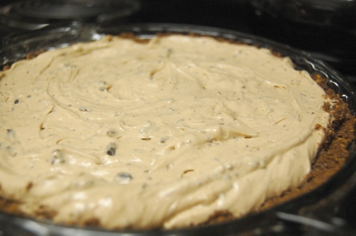 Angled view of chocolate peanut butter pie